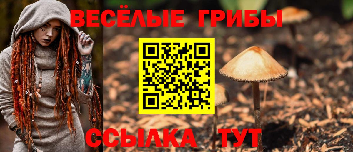 Кисловодск  Псилоцибиновые грибы ЛСД  Вход с VPN 