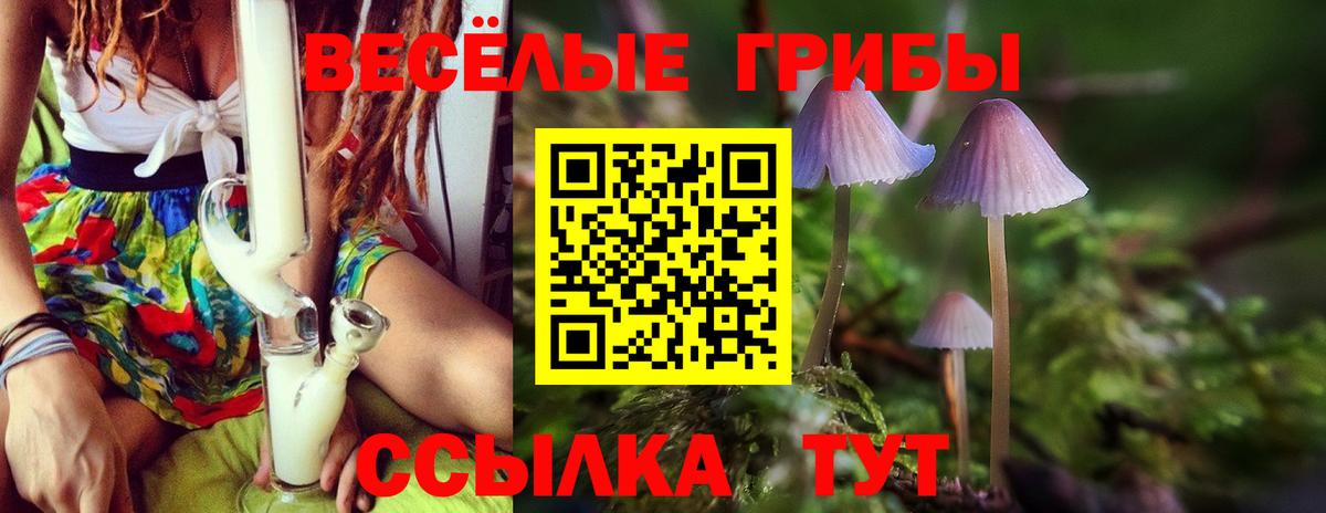 Галлюциногенные грибы GOLDEN TEACHER Кисловодск